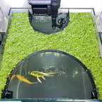 Floating Plant Corral for Aquarium, Fish Tank Accessories to Protects Duckweed by Unknown