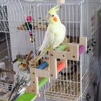 Bird Ladder Bridge, Wooden Parrot Hamster Climbing Ladder Toys, Bird Perch Stand - Image 3