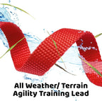 Long Dog Puppy Obedience Recall Training Agility Lead, Leash GREEN, or ORANGE - Image 4