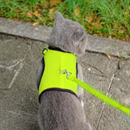 PUPTECK Soft Mesh Cat Vest Harness and Leash Set Puppy Padded Pet Harnesses - Image 6