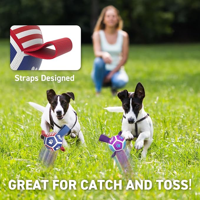 QDAN 2 Pack Small Dog Toys, Puppy Balls, Dog Balls - Image 3