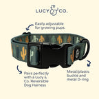 Lucy & Co. Looking Sharp Dog Collar - Image 2