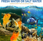 Fish Tank Rocks for Enhancing Water Clarity - Image 5