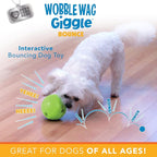 Wobble Wag Giggle Bounce Interactive Dog Toy- Sound Making Bouncing Ball - Image 5