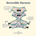 Lucy & Co. Cute Reversible Dog Harness Walking Halter - Image 5