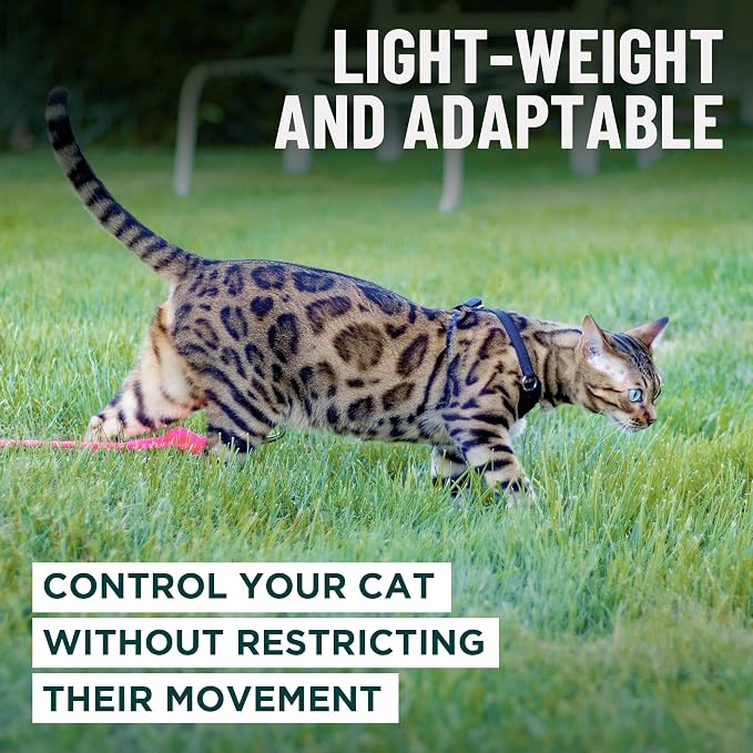 Houdini™ Escape Proof Kitten Harness and Leash Set by OutdoorBengal – Orange - Image 7