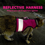 Kitty Holster Reflective Cat Harness – High-Visibility Cat Harness - Image 6