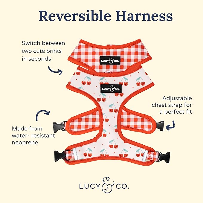 Lucy & Co. Cheery Cherries, Cute Reversible Dog Harness Walking Halter - Image 2