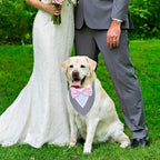 ADOGGYGO Formal Dog Tuxedo Wedding Pet Bandana Collar - Image 4