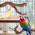 Parrot Perch Bird Perch Stand Set Natural Wild Wood Grape Sticks Paw Grinding - Image 4