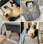 Texsens Pet Backpack Carrier for Small Cats Dogs | Ventilated Design, Safety - Image 6