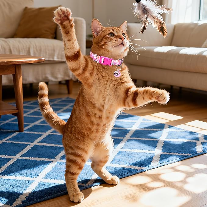 Small Dog Collar with Bell，Nylon - Image 2