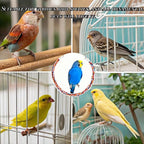 Bird Rope Perches, Parrot Toys, Bungee Rope Perches - Image 7
