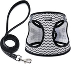 BOOMIBOO Dog Harness with Leash Set, No Pull Adjustable Reflective Step-in by BOOMIBOO