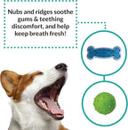 rocket & rex Dog Chew Toy Set for Small to Medium Breeds, Includes All Natural - Image 9
