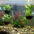 3 Pack Aquarium Plant Holder Clear Fish Tank Plant Holder Fishes Tanks Plants - Image 6