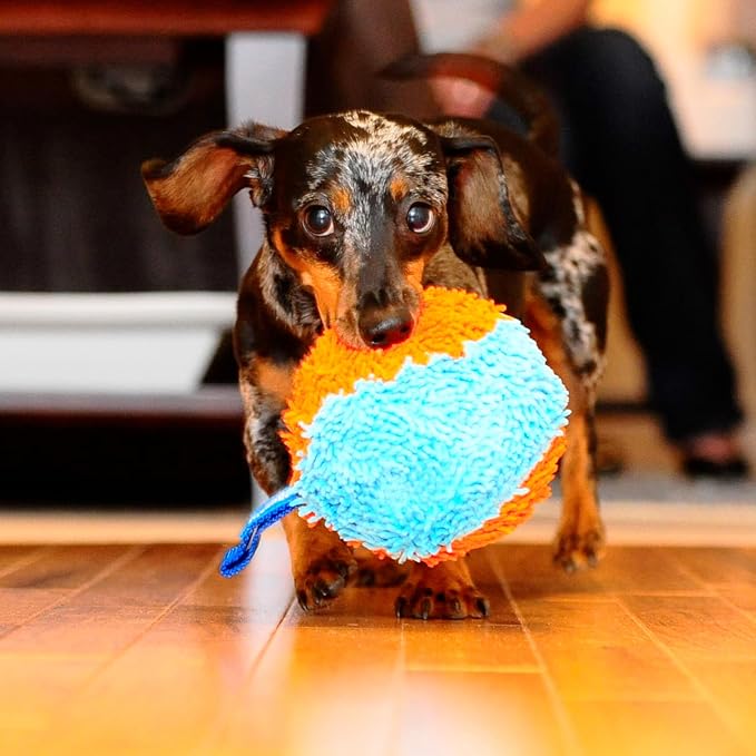 Chuckit! Indoor Fetch Shaker for Dogs - Image 4