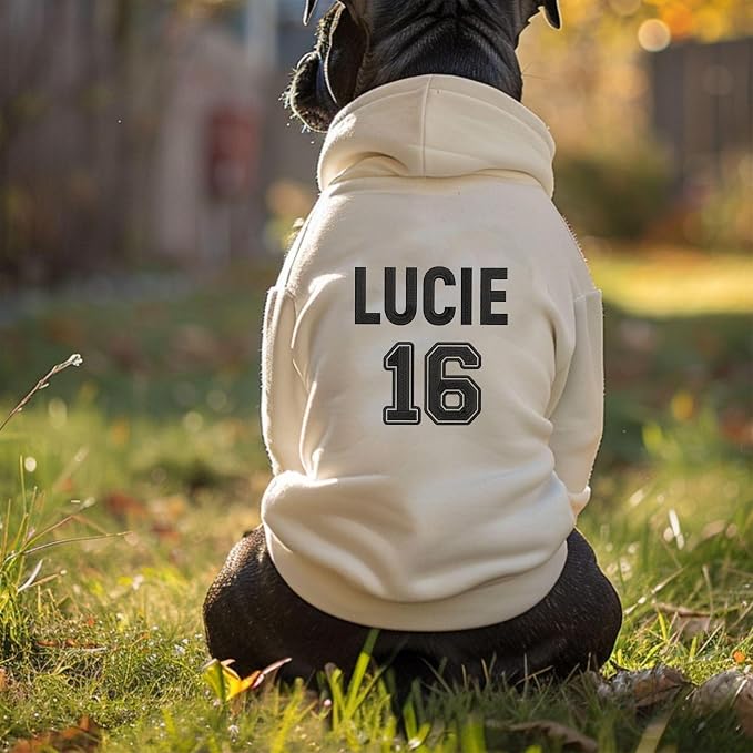 Personalized Name Dog Hoodie, Embroidered Hoodies Pets Name, Custom Pet Memorial - Image 2