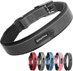 PetiFine Dog Collar for Large Dogs, Neoprene Padded and Adjustable, Reflective by PetiFine