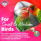 Super Bird Creations SB719 Beaker Sneaker Bird Toy - Image 4