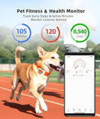 Smart Dog GPS Tracker, Live Pet Tracker - Image 6