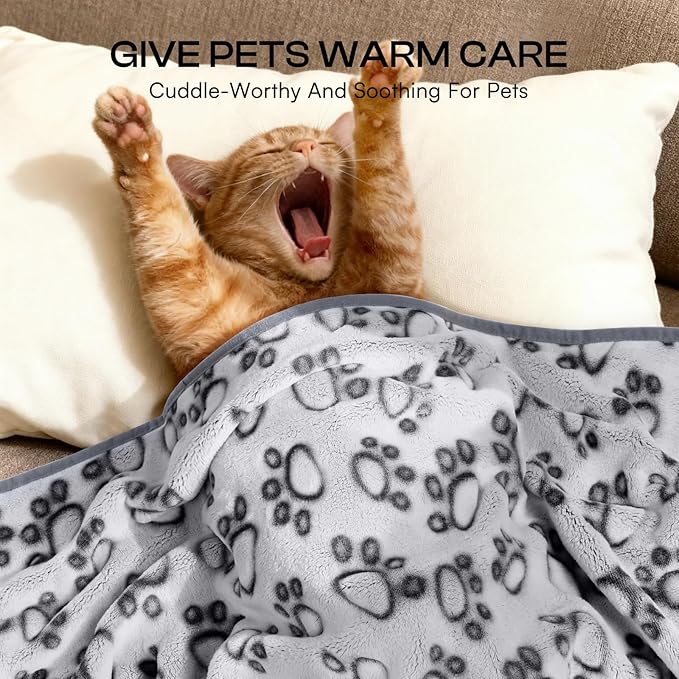 Luciphia Premium Soft Dog Blanket - Image 3