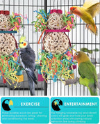 Bissap 2PCS Bird Parrot Foraging Shredder Hanging Toys Sola Balls Sepak Takraw - Image 4
