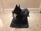 Brilliant Sunshine Premium Calming Dog Bed Mat, Silky Velvet, Removable - Image 7