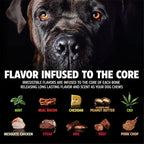Pet Qwerks Nylon Stick BarkBone - Image 3