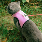 PUPTECK Soft Mesh Cat Vest Harness and Leash Set Puppy Padded Pet Harnesses - Image 6