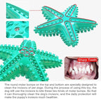 Chew Toy for Dog Toothbrush Stick Dog Toys for Aggressive Chewers Interactive - Image 9