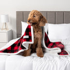 PetAmi Waterproof Dog Blanket for Medium Large Dog Puppy Cat Throw for Couch - Image 8