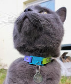 Kittyrama Cat & Kitten Collar - Image 4