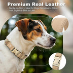 Plutus Pet Genuine Leather Dog Collar – Adjustable Pet Collar - Image 3