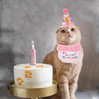 ADOGGYGO Cat Birthday Party Supplies - Image 3