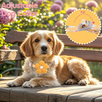 Medium Dog Collar with Flower, Dog Collars - Image 5
