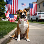 DOGWONG American Flag Dog Collar, Patriotic Independence Day Dog Collar Soft - Image 4