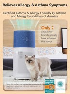 CleanForce Rainbow H13 True HEPA Air Purifier - Image 3