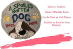 Spoontiques - Garden Décor - Spoiled Rotten Dog Stepping Stone - Decorative - Image 6