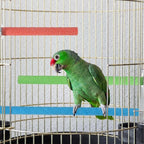 4 Pcs Bird Perch Stand Toy Parrot Perch Stand, Wood Bird Cage Perches Toy - Image 6