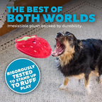 Outward Hound Tough Skinz Durable Squeaky Dog Toy - Image 3