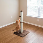Dimaka 34" Height Tall Cat Scratching Post, Claw Scratcher - Image 6