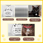 Cat Collar Tags Personalized - Image 5