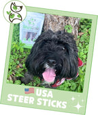 Nature Gnaws USA Steer Sticks for Dogs 5-7" - Image 6