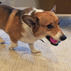 SPOT Sensory Ball for Soft Chewers - Image 17