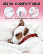 Dynmeow Soft and Breathable Cotton Dog Collar, Durable Adjustable Heavy-Duty - Image 4