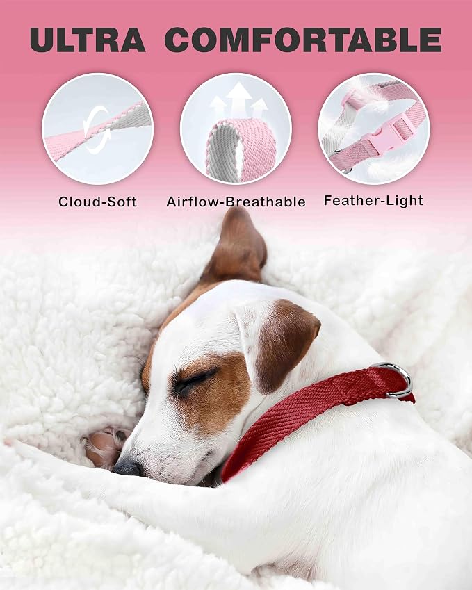 Dynmeow Soft and Breathable Cotton Dog Collar, Durable Adjustable Heavy-Duty - Image 4