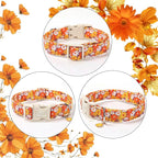Fall Dog Collar Vintage Daisy Puppy Collar - Image 6