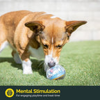 Pet Zone IQ Treat Ball Interactive Dog Ball - Image 2