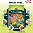 Living World – Millet Spray for Birds, 7 Oz – Premium Treat for Budgies - Image 4